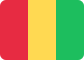 Flag of Guinea